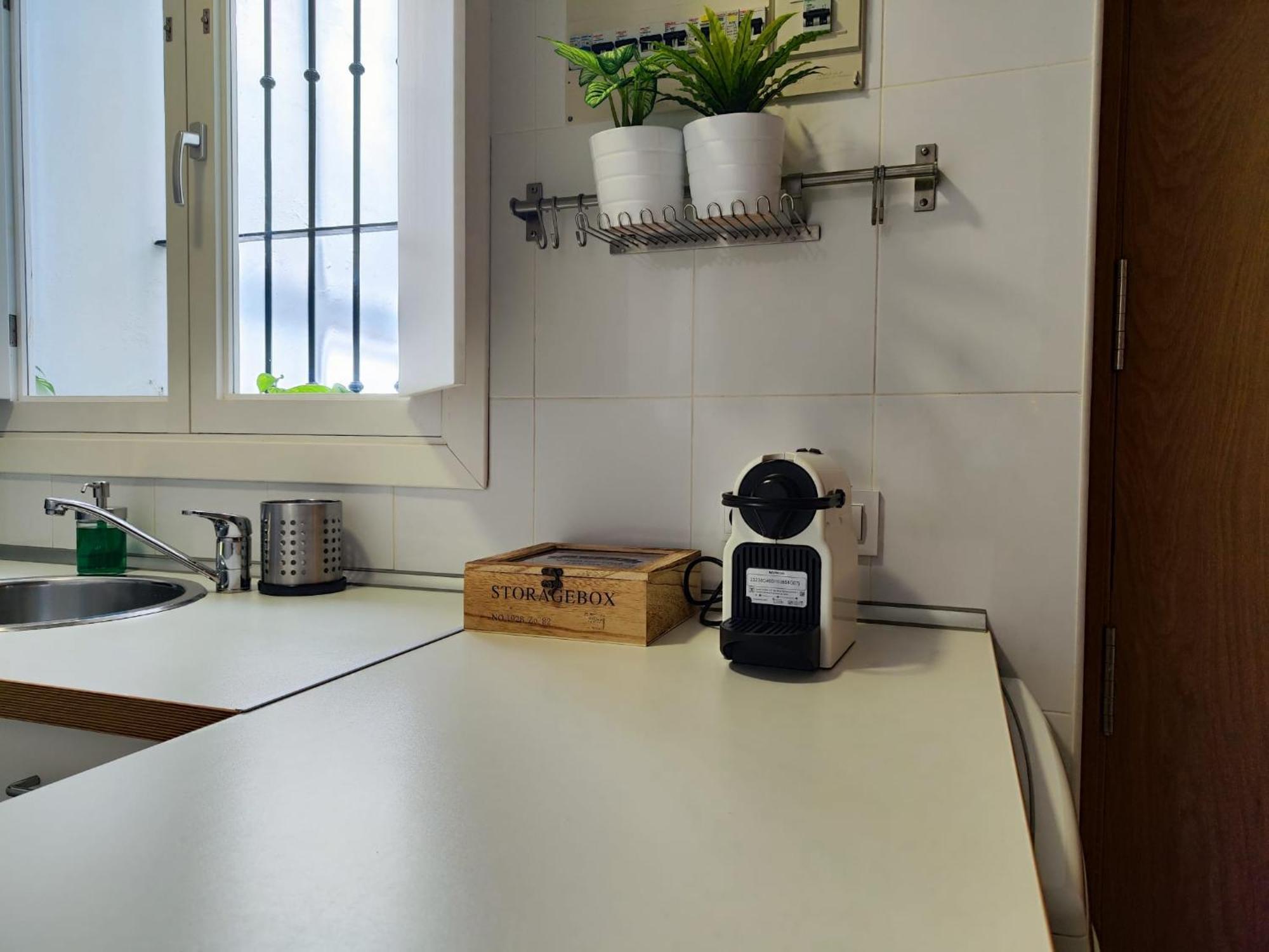 Suite Del Mercado Little Apartments Cadix Extérieur photo
